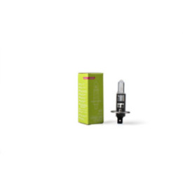 M-TECH Long Life H1 12 V 55 W H1 P14.5s
